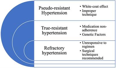 When blood pressure refuses to budge: exploring the complexity of resistant hypertension
